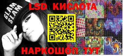 прущие грибы Краснодар