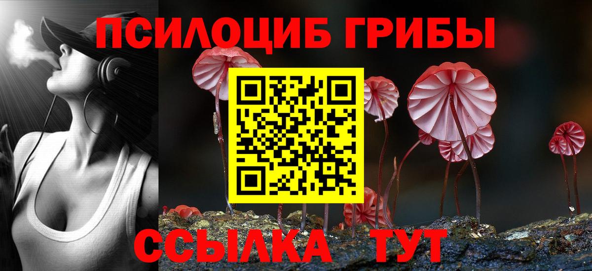 Галлюциногенные грибы мухоморы  Вход с VPN  Тверь 